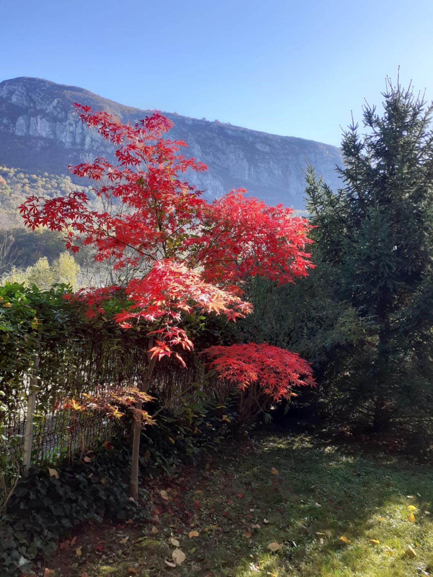 Pensiune Safrane Baile Herculane Bagian luar foto