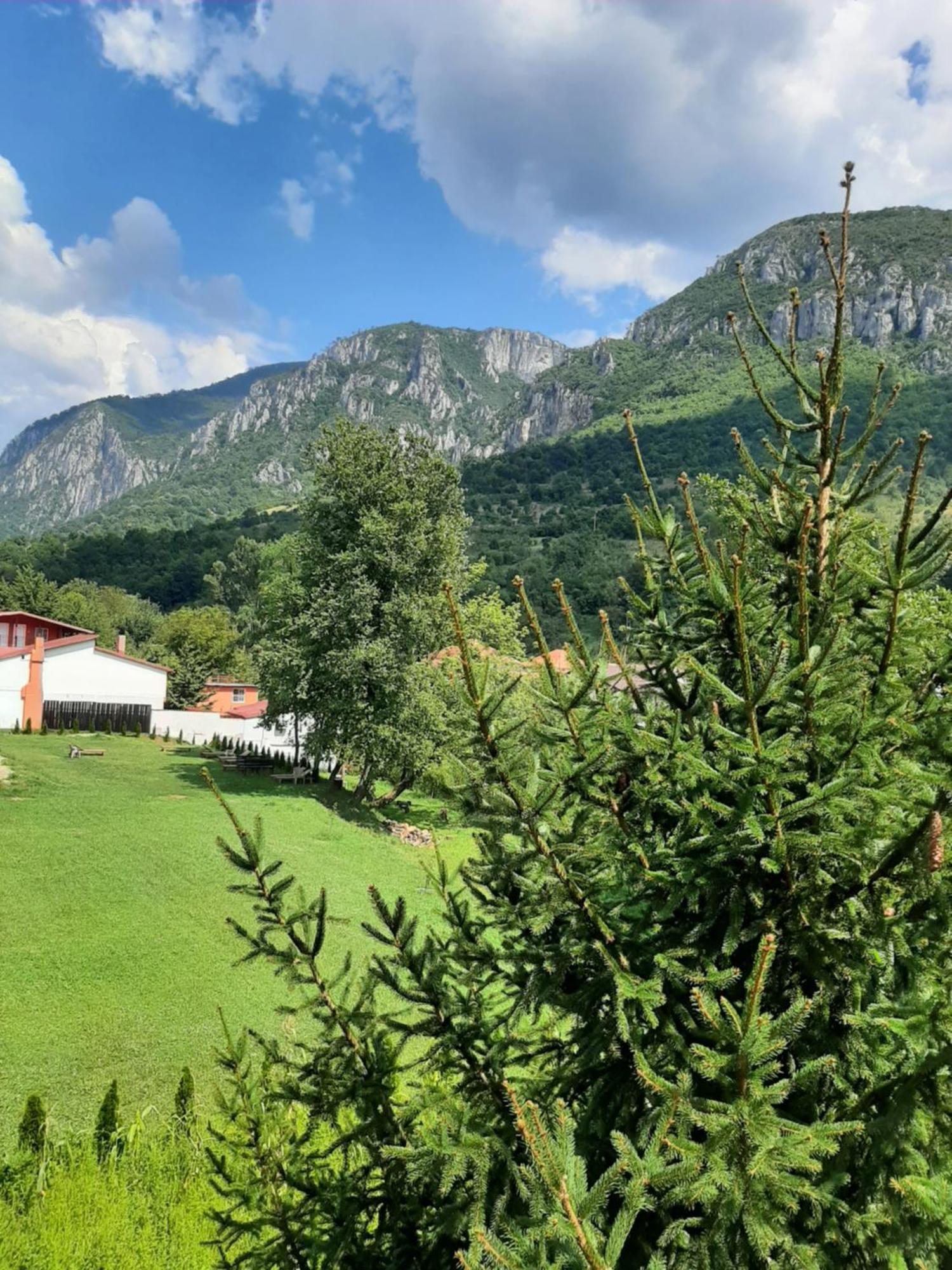Pensiune Safrane Baile Herculane Bagian luar foto